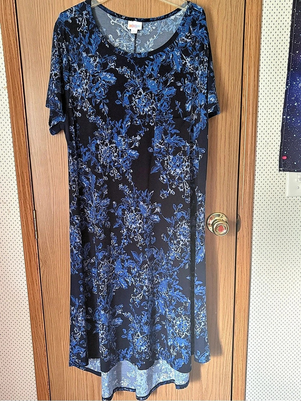 LuLaRoe Carly Swing Dress Floral Blue & Black XL